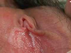 Dlakavi solo azijski contracting je i mokar